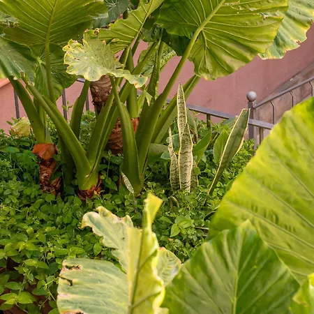 Bed and Breakfast Verdi 254 Βαρκελώνη